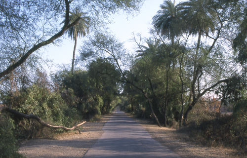 Keoladeo Ghana National Park