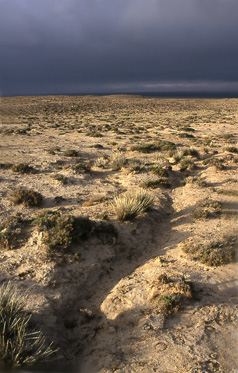 Caka desert