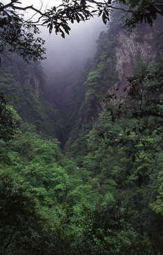 Emei Shan gully